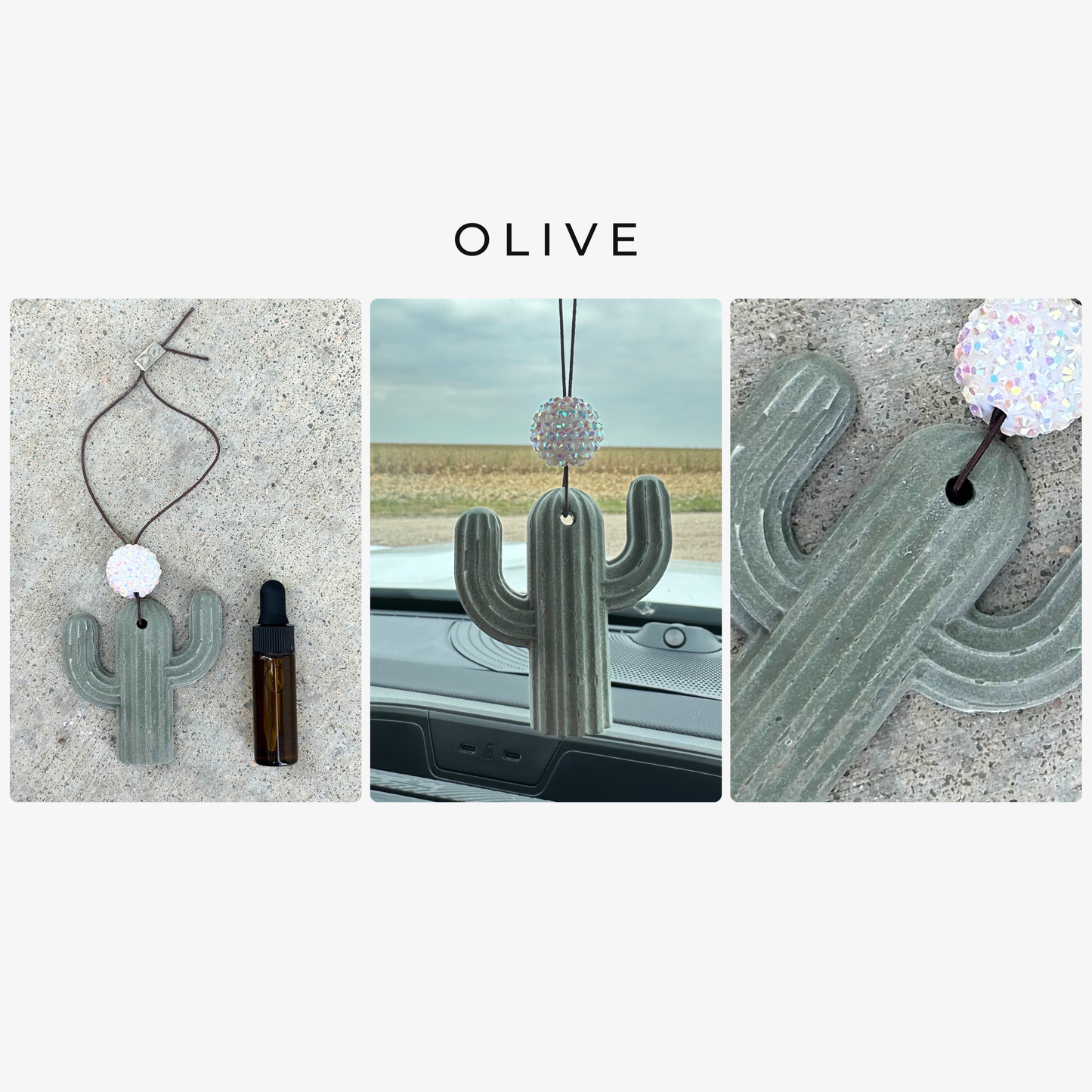 Cactus Stone Car Freshener
